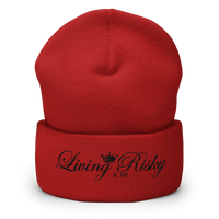 Cuffed Beanie